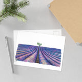Provence, France Fine Art Postcard