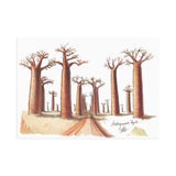 Madagascar Fine Art Postcard