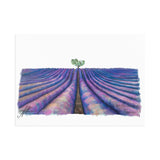 Provence, France Fine Art Postcard